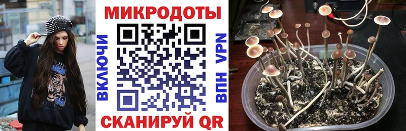 что такое   Чудово  Псилоцибиновые грибы Magic Shrooms 